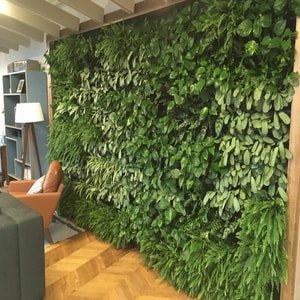 webp.net compress image.jpg