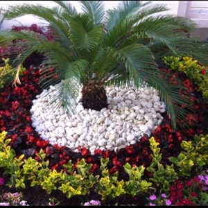 webp.net resizeimage 1 1.jpg