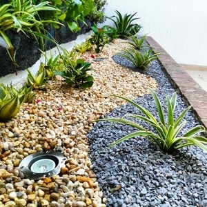 webp.net resizeimage 1.jpg